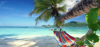 Vacation