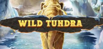 Wild tundra